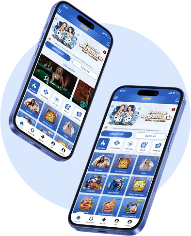 Các cấp độ VIP và quy trình nâng cấp