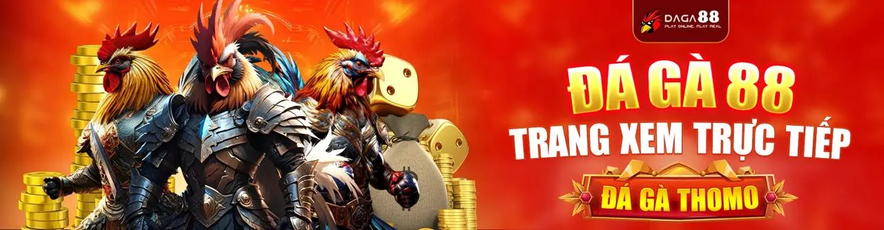 Đá gà trực tuyến kịch tính tại Wim33 trang chủ chính thức
